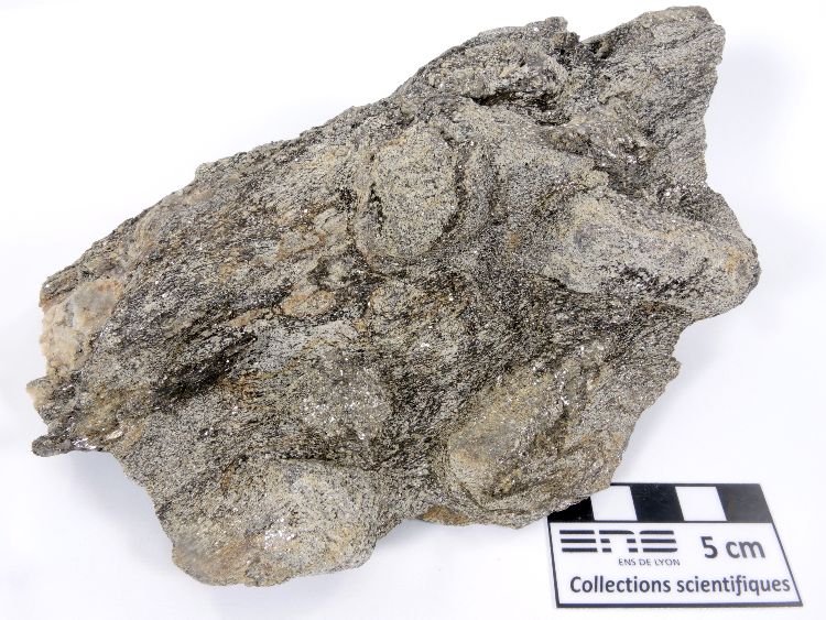 Micaschiste à andalousite Métapélite à porphyroblastes d’andalousite Pyrénées Cap de Creus